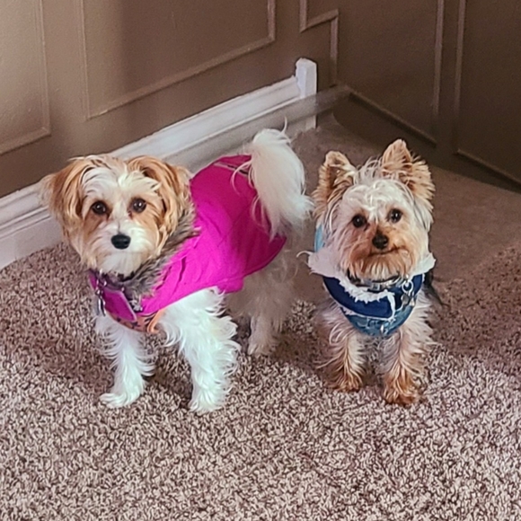 Meet your Posher, Debbie - Picture 2 of 12